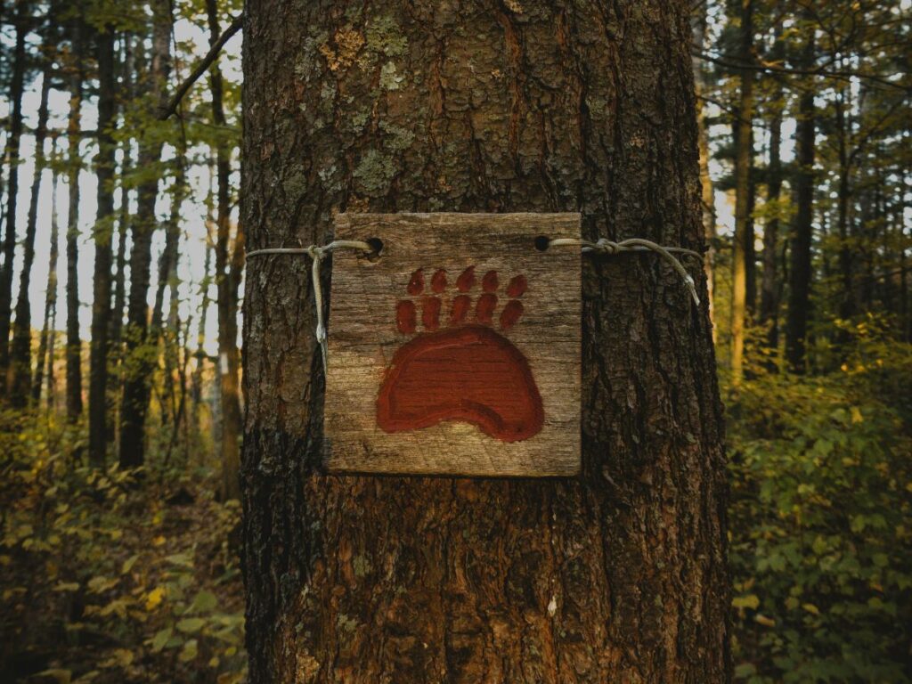 bear-sign