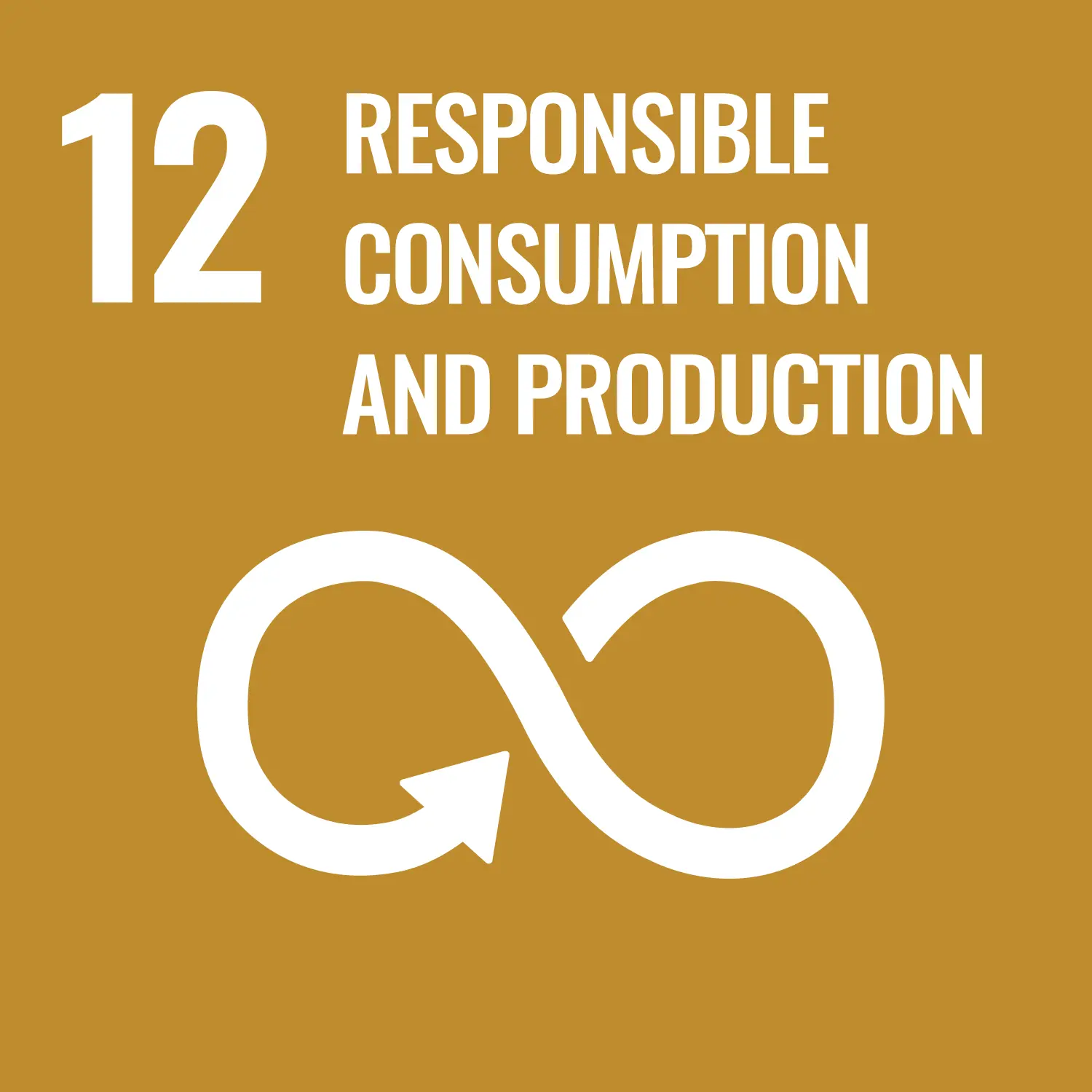SDG 12.5